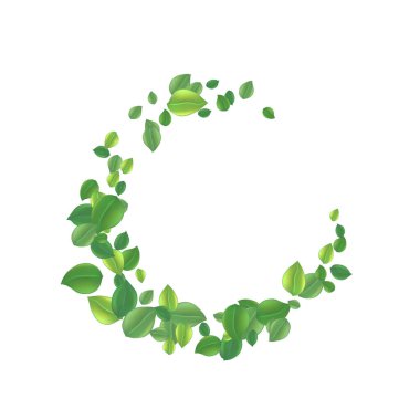  Gerçekçi, uçan yeşil çay yaprağı beyaza izole edilmiş. Geriye bahar arkaplanı kalıyor. Sağlıklı olmak için kaliteli yeşil çay. Yaprak bitkisi tasarım, reklam, ambalaj ürünleri. Vektör