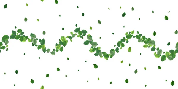 Απρόσκοπτη Μοτίβο Όμορφο Ιπτάμενο Πράσινο Φύλλο Τσαγιού Απομονώνονται Λευκό Αφήνει — Διανυσματικό Αρχείο