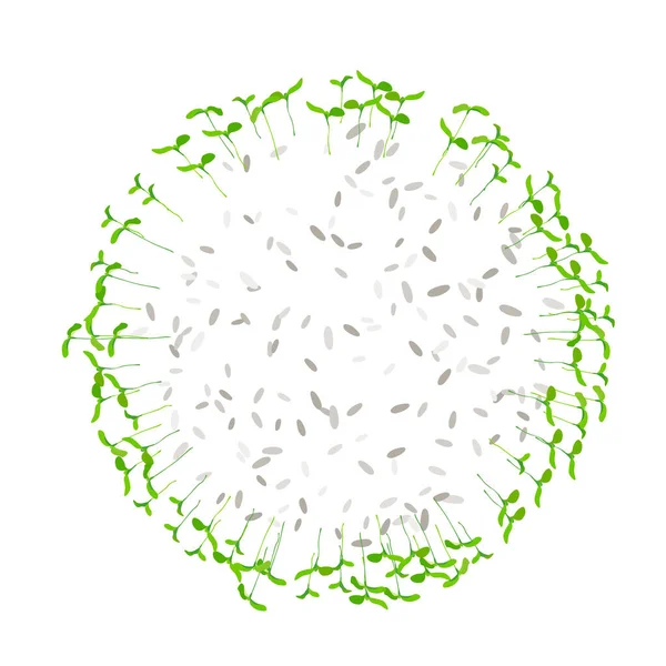 Rond Frame Microgroen Jonge Bladeren Zaailingen Zaden Geïsoleerd Wit Rauwe — Stockvector