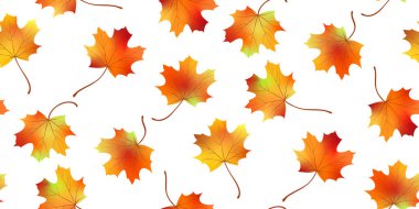 Kusursuz desenli parlak renkli akçaağaç yaprakları beyaz arka planda izole edilmiş. Grafik tasarım sonbahar sembolü. Kırmızı turuncu, sarı, kuru sonbahar yaprakları. Sonbahar yaprakları mevsimsel arka plan. Vektör