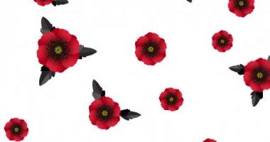 25 Nisan 'daki Anzak Günü için hareketli grafik. Unutmayalım diye hatırlatma günü. Animasyon kırmızı gelincik çiçekleri beyaz ekranda barışın uluslararası sembolü. Alfa kanallı 4k video yükle