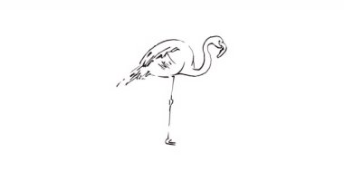 Animasyon el beyaz arka planda grunge desenli pembe flamingo çizdi. Alfa kanalı, luma mat. 4K video grafik canlandırması
