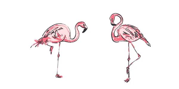 Esboço Par Pássaro Flamingo Rosa Desenhos Animados Brilhantes Flamingo Pássaro —  Vetores de Stock