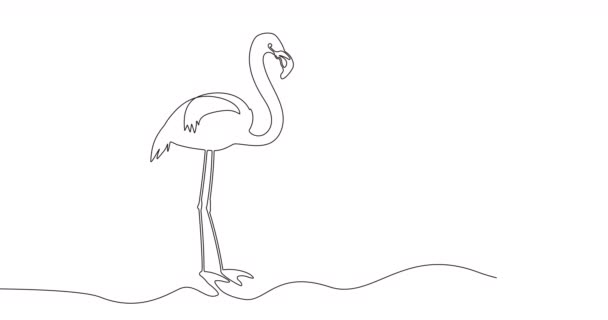 Pássaro Flamingo Auto Desenhado Animação Simples Uma Única Linha Preta — Vídeo de Stock