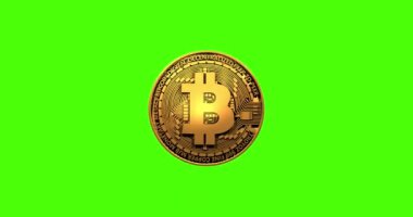 Üzerinde bitcoin sembolü olan kripto altın sikke, yeşil arka planda izole. Dönen altın metal sikke, kusursuz döngü, 3D animasyon. Engelleme teknolojisi. 4k video grafik canlandırması