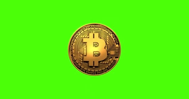 Üzerinde Bitcoin Sembolü Olan Kripto Altın Sikke Yeşil Arka Planda — Stok video