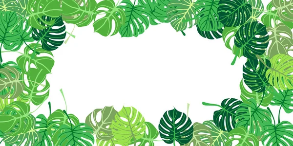 Vector Pattern Tropical Monstera Leaves Different Colorful Shades White Background — Stockvector