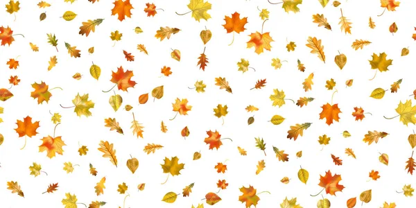 无缝图案 色彩艳丽的秋天树叶在白色的背景上与世隔绝 图形设计秋天的象征 红色橙色 秋天干枯的叶子 秋叶季节背景 矢量说明 — 图库矢量图片