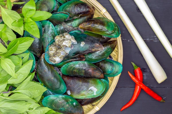 Mussel and basil — Stock Photo, Image