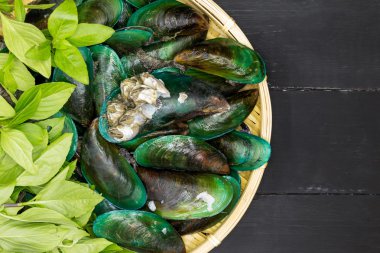 Yeşil dudaklı Midye