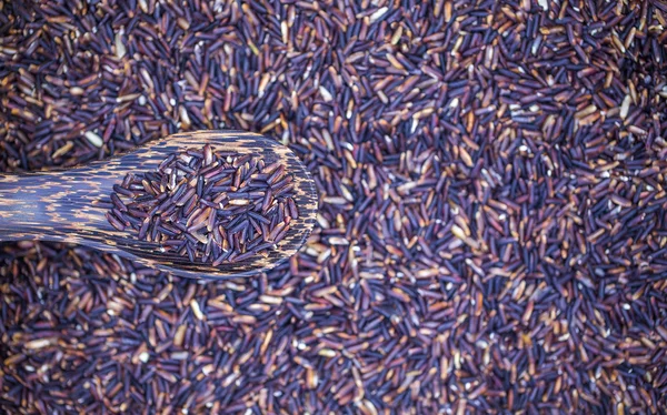Raw Rice close up — Stock Photo, Image