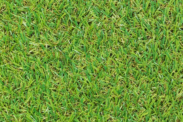 Grass — Stock Photo, Image