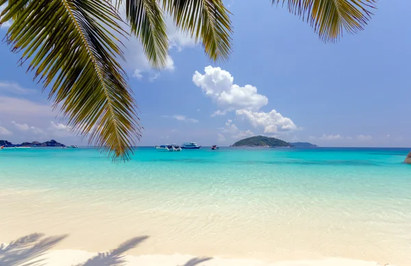 Spiaggia di sabbia tropicale — Foto Stock