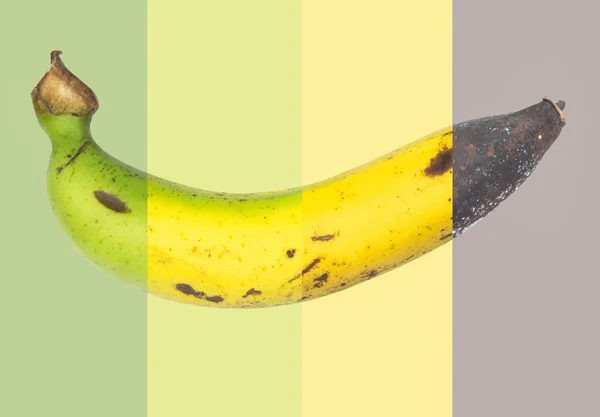 Banana — Fotografia de Stock