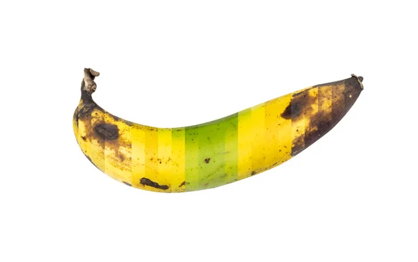 Banana — Fotografia de Stock