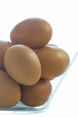 kahverengi tavuk yumurtası