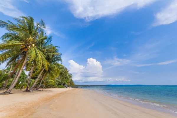 Trópusi strand — Stock Fotó