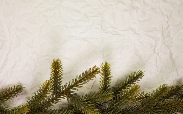 Christmas fir — Stock Photo, Image