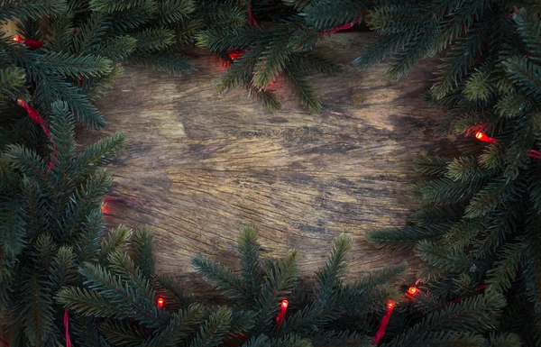 Fir kerstboom — Stockfoto