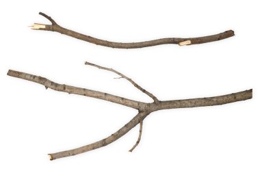 banklar