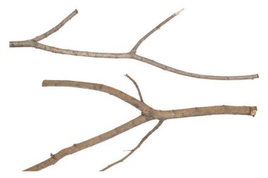 kuru dal