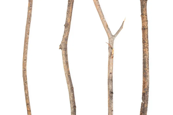 Dry branch — Stock Photo, Image