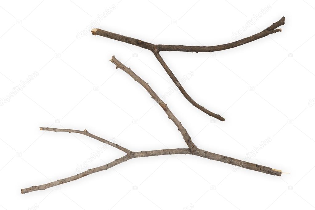 Branches Sticks 