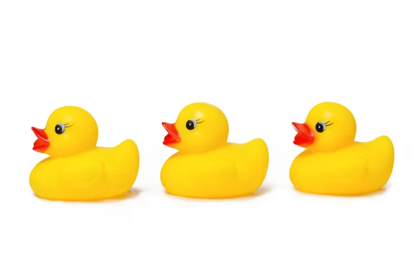 Rubber duck — Stock Photo, Image