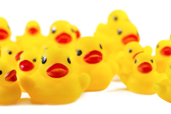 Rubber duck — Stock Photo, Image