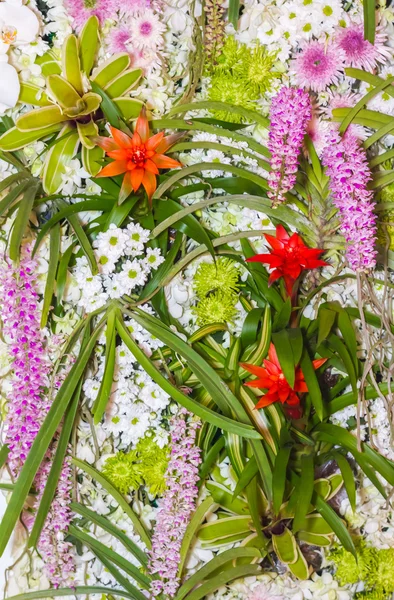 Mooie bloemen muur — Stockfoto