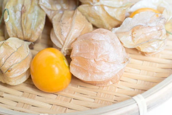 Gooseberry Physalis fruit — Stock Photo, Image