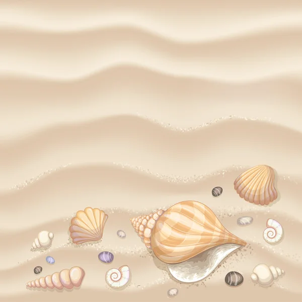Background with seashells — Stock Vector