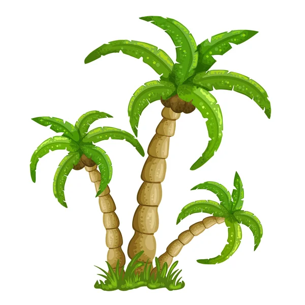 Ilustración de las palmeras — Archivo Imágenes Vectoriales