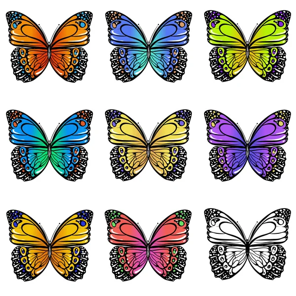 Set of  butterflies — Stock Vector