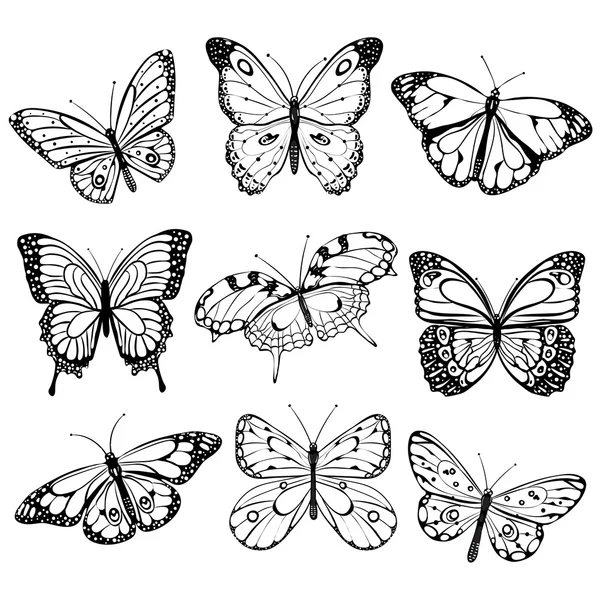 Black and white butterflies — Stock Vector