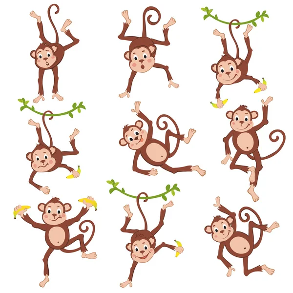 Mignon jeu de singes drôles — Image vectorielle