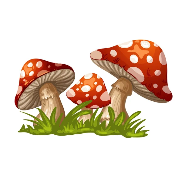 Illustration of a red mushroom in the grass — Stock Vector