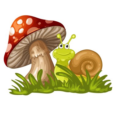 Salyangoz stand mantar altında