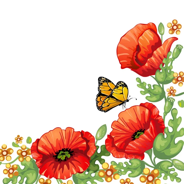 Red poppies flowers and butterfly — Stock Vector