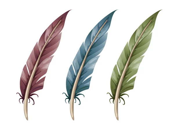 Set of three feathers — Stock Vector