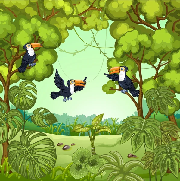 Ilustracja z dżungli — Wektor stockowy