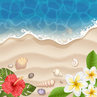 Çiçekli tropikal plaj