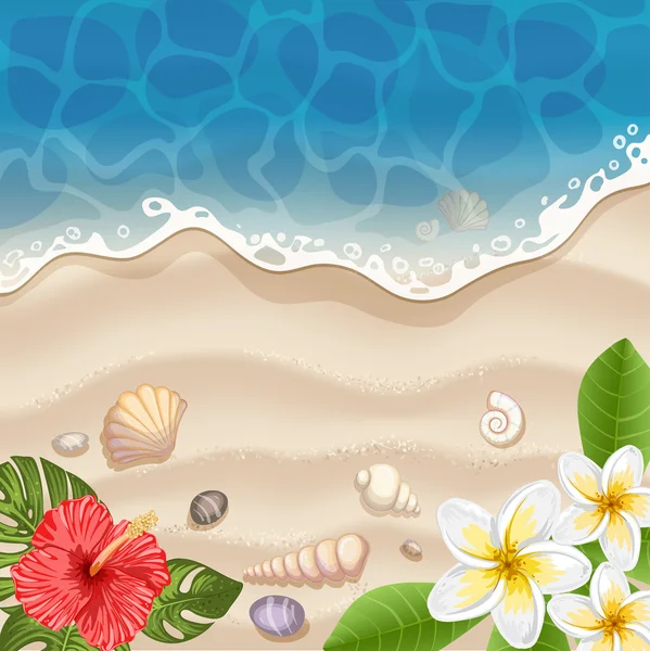 Tropisch strand met bloemen — Stockvector