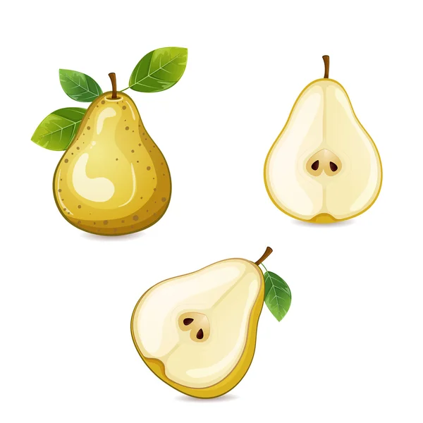 Päron frukter med blad isolerad på vit. Vektorgrafik