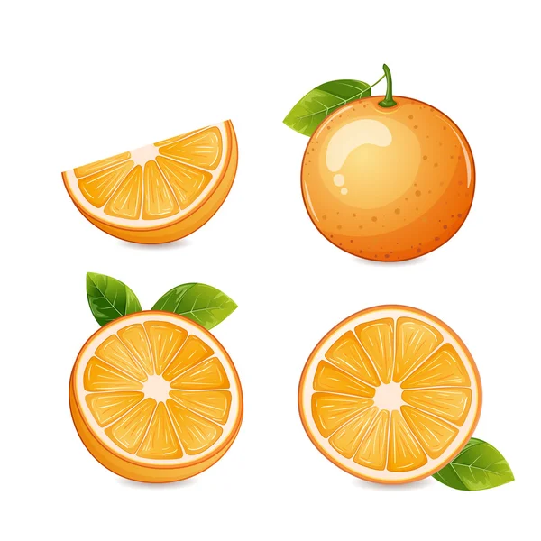 Orange fruit half and sliced,isolated on white. 스톡 벡터