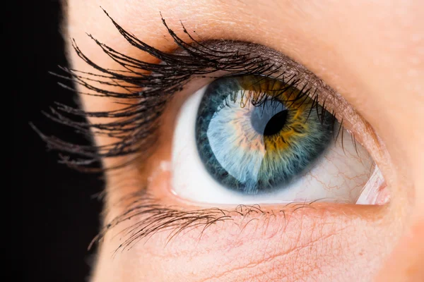 Beautiful eye looking up — Stock Photo, Image