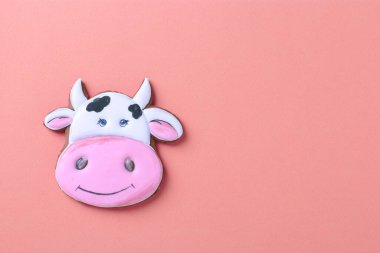 Pembe arka planda 2021 yılının zencefilli boğa sembolü. Üst Manzara. Metin için boşluk