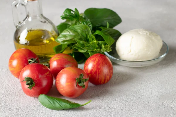 Ingrediente pentru prepararea salată italiană Caprese: roșii, brânză mozzarella, busuioc și ulei de măsline pe fundal gri deschis — Fotografie, imagine de stoc