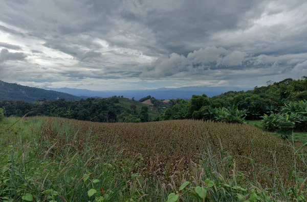 泰国南西南国家公园远天阴天雨天背景下的高山景观 — 图库照片