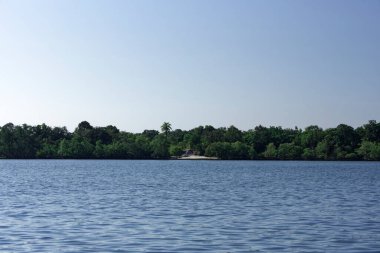 Öğleden sonra Koh Phra Thong, Tayland 'da mangrov ormanı.
